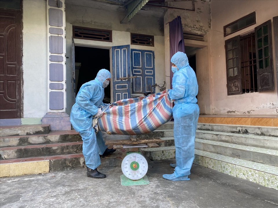 Ninh Bình Dịch Tả Lợn Châu Phi Bùng Phát Trở Lại_0972502979_ Công Ty Á Châu