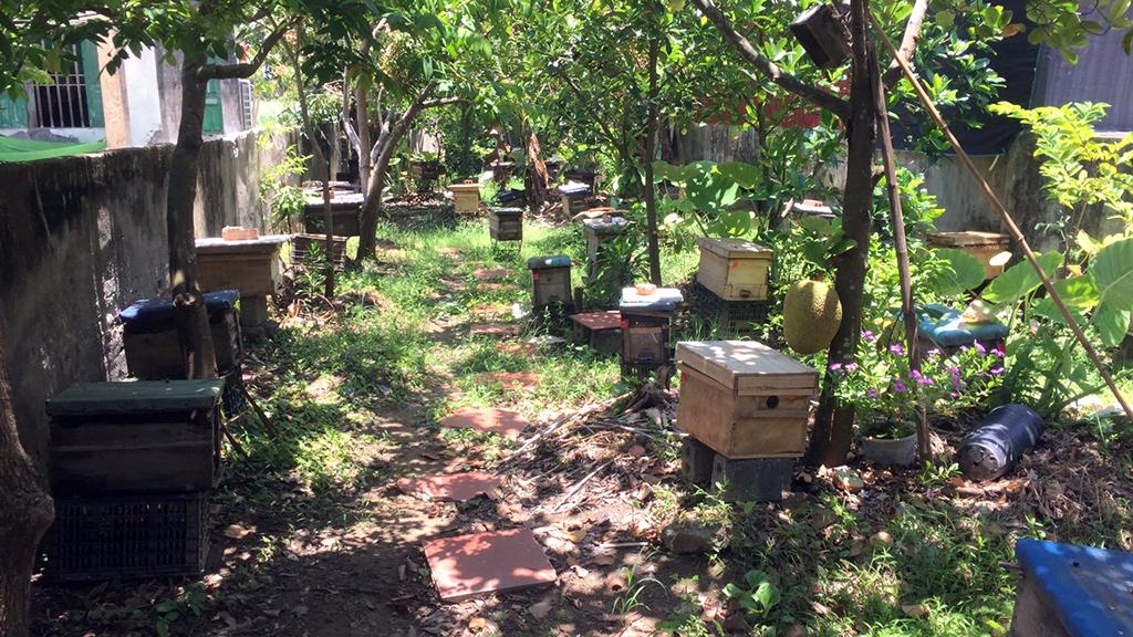 Mật Ngọt Từ Những Tán Rừng Ngập Mặn_công Ty Á Châu_ 0972502979