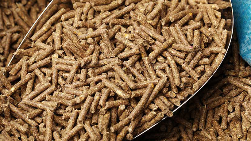 8 Mẹo Giúp Tăng độ Bền Viên Thức ăn_công Ty Á Châu_0972502979