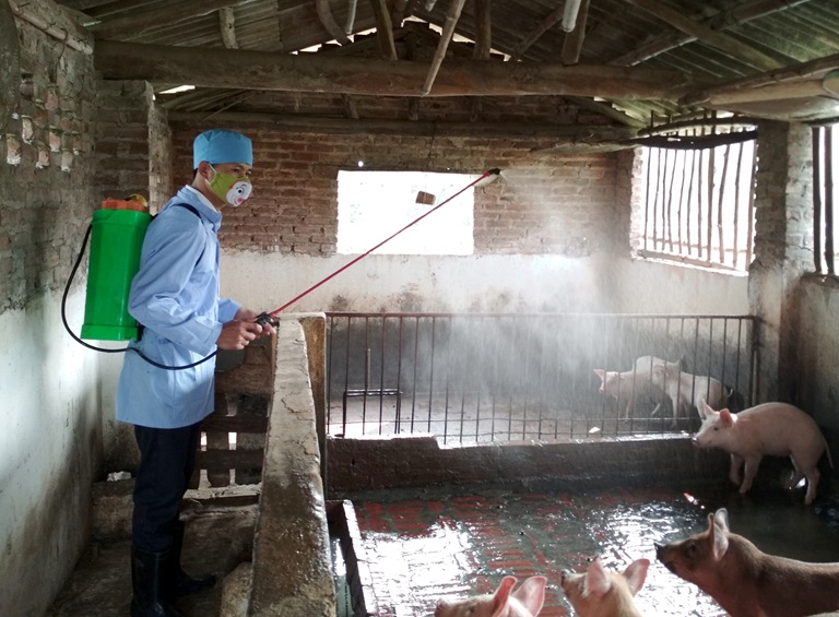 Quy định Việc Cấp Giấy Chứng Nhận Vệ Sinh Thú Y_chăn Nuôi Á Châu_ 0972502979