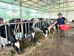 Hiệu Quả Chăn Nuôi Nhân đôi Nhờ Phối Tinh Phân Ly Giới Tính_công Ty Á Châu_0972502979