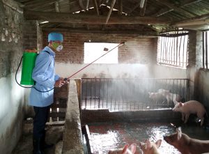 Tập Trung Tái đàn Vật Nuôi Sau Tết_công Ty Á Châu_0972502979