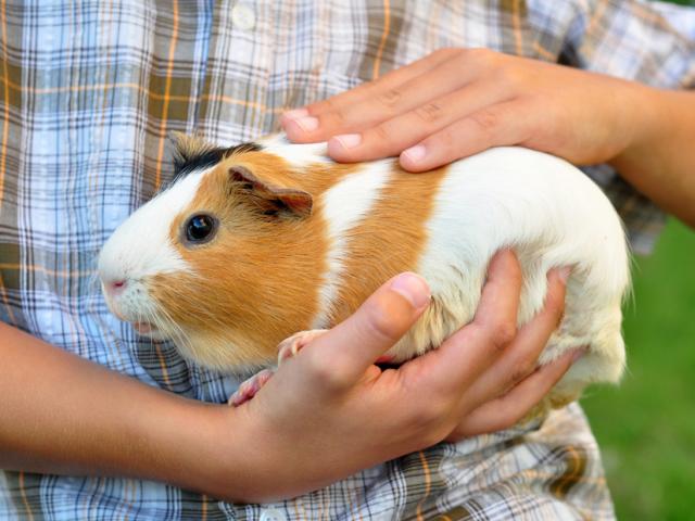 1633053787-576-thumbnail-width640height480