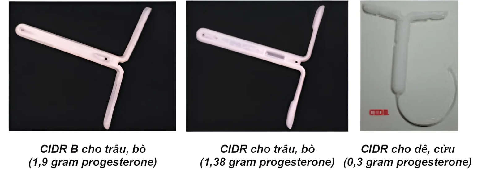 Snapedit_1714968648311