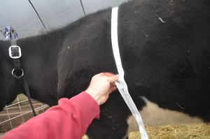 Snapedit_1714970659105