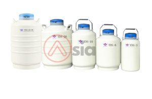 Binh Chua Nito Long Yds