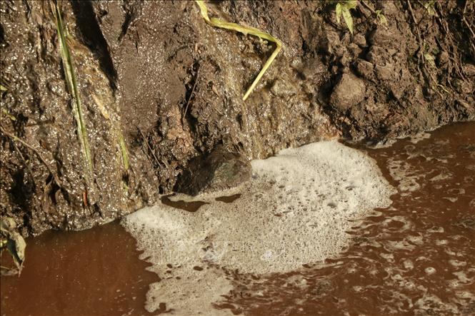 Xử Lý Hiệu Quả Nguồn Chất Thải Chăn Nuôi_chăn Nuôi Á Châu_0972502979