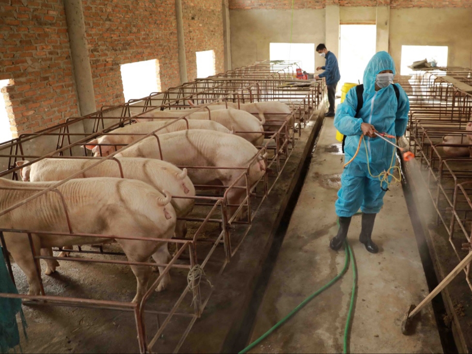 Phòng, Chống Dịch Bệnh Do Môi Trường Trên đàn Vật Nuôi_công Ty Á Châu_0972502979