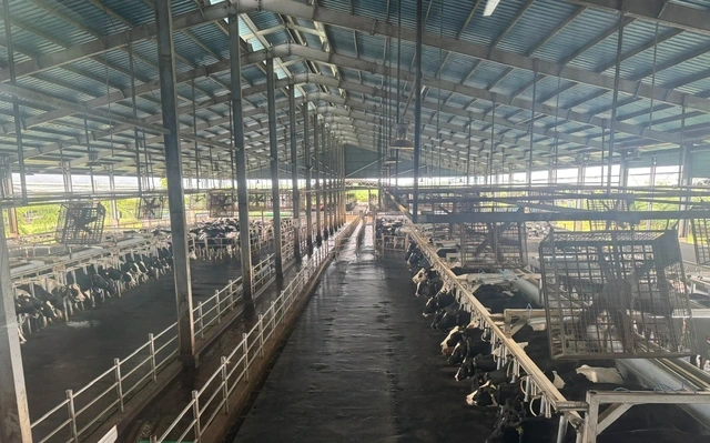 Khu Vực Vắt Sữa được Cách Ly Toàn Bộ Với Bên Ngoài